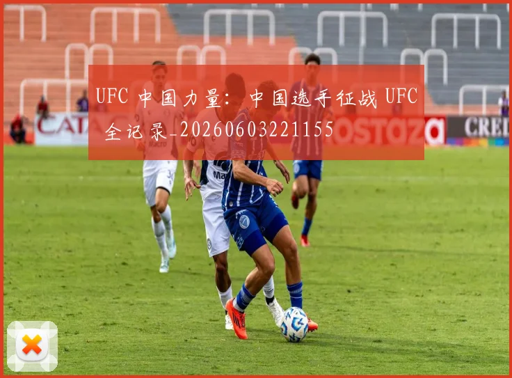 UFC 中国力量:中国选手征战 UFC 全记录_20260603221155